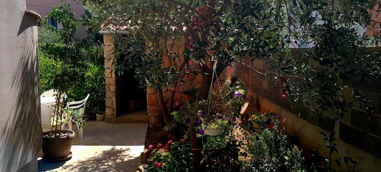 Apartment Danijela زادار المظهر الخارجي الصورة