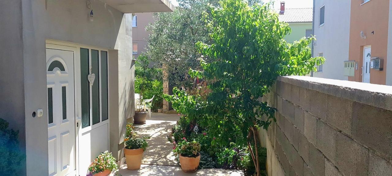 Apartment Danijela زادار المظهر الخارجي الصورة