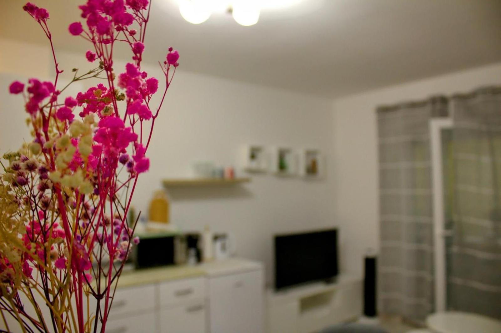 Apartment Danijela زادار المظهر الخارجي الصورة