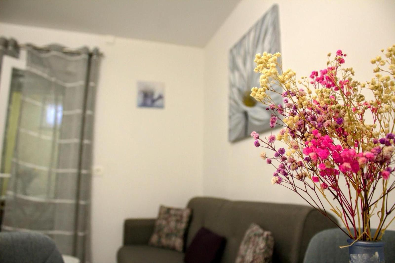 Apartment Danijela زادار المظهر الخارجي الصورة